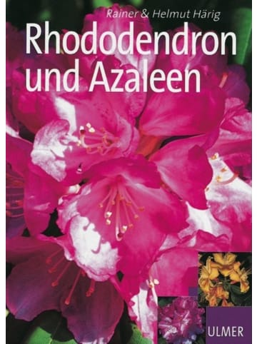 Ulmer Rhododendron und Azaleen