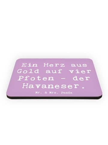 Mr. & Mrs. Panda Magnet Spruch Goldherz Havaneser mit Spruch in Lavendeltraum
