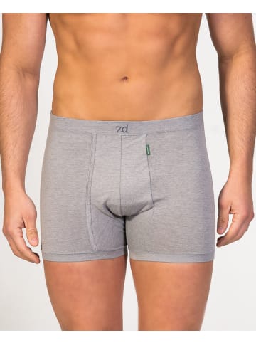 ZD ZERO DEFECTS Boxer "Helios" in Grau