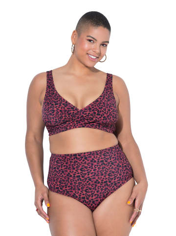 Studio Untold Bikini Slip in aubergine
