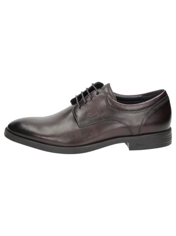 Sioux Schnürschuh Foriolo-707-H in dunkelbraun