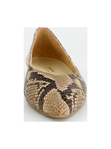 Paul Green Ballerinas in Animal