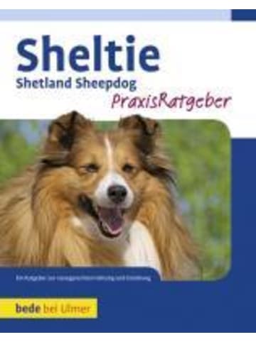 Ulmer Sheltie