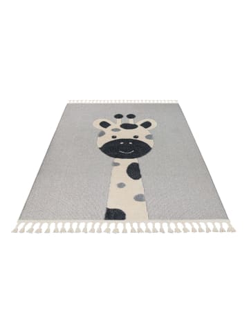 Teppich Boss Kurzflor Teppich Malte 417 - Grau