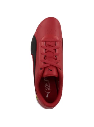 Puma Sneaker low Ferrari Neo Cat in rot