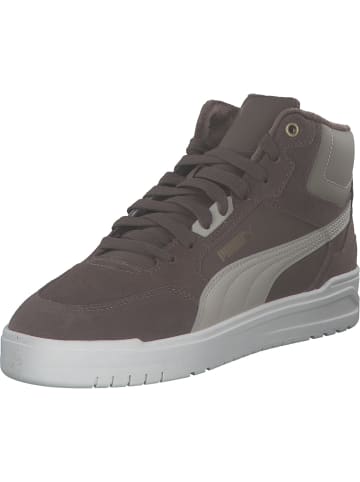 Puma Stiefel in FLAT BRONZE-DESERT DUST-PUMA G