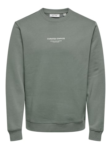ONLY & SONS Sweatshirt in Castor Gray