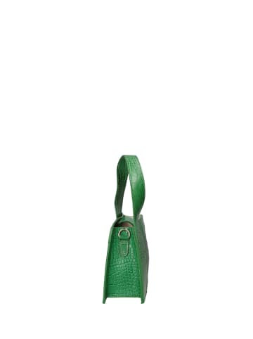 Chiara Ferretti Handtasche in GREEN