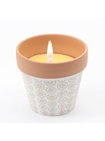 MARELIDA Duftkerze Citronella in Tontopf in beige