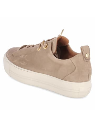 Paul Green Schnürhalbschuh in beige
