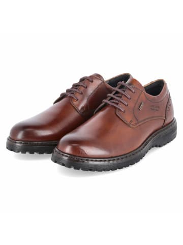 Josef Seibel Schnürhalbschuh in braun