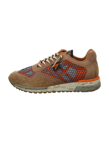 Cetti Sneaker Low in Braun