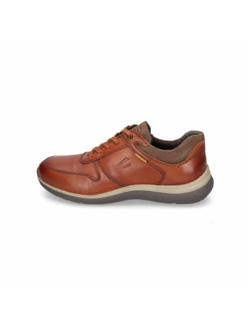 Camel Active Sneaker für Herren in uni