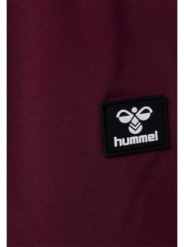 Hummel Hose Hmljupitor Lebensstil Kinder in WINDSOR WINE