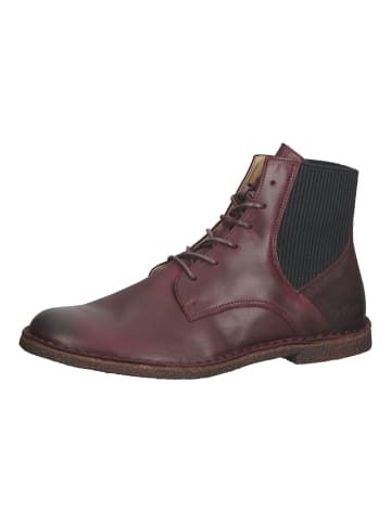 Kickers Stiefelette in Bordeaux