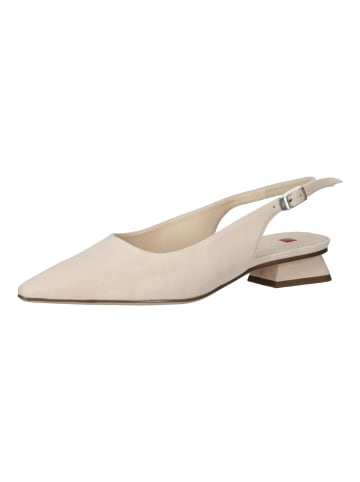 Högl Pumps in Nude