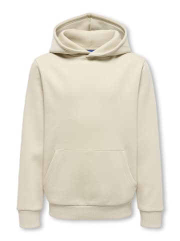 ONLY & SONS Junior Kapuzenpullover in Silver Lining