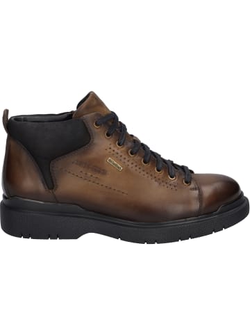 Josef Seibel Halbschuh Dalton 52 in castagne