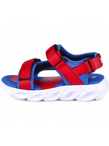 Cerda Sandalen Spider-Man mit Klettverschluss in Blau