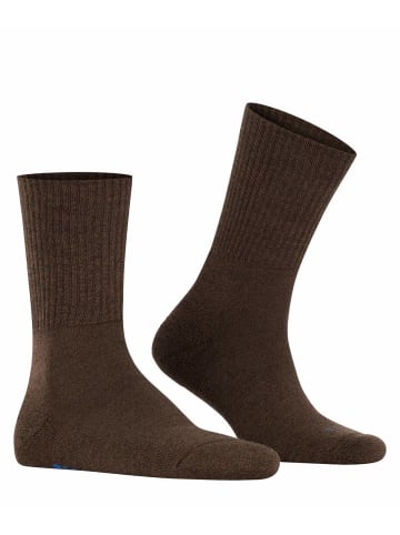 Falke Socken 2er Pack in Dunkelbraun