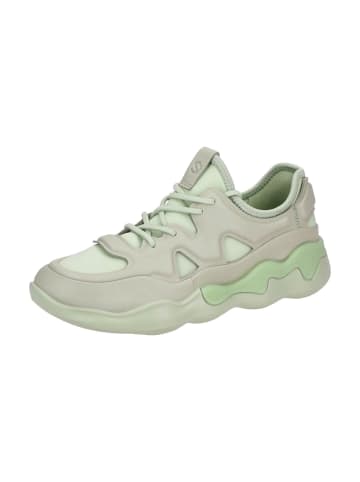 Ecco Sneaker Low in Weiß