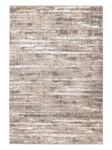 Vivorum Wohnzimmer Kurzflor Teppich Catcher 625 in silber - beige
