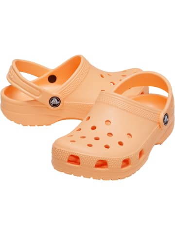 Crocs Clog Classic K in apricot in apricot