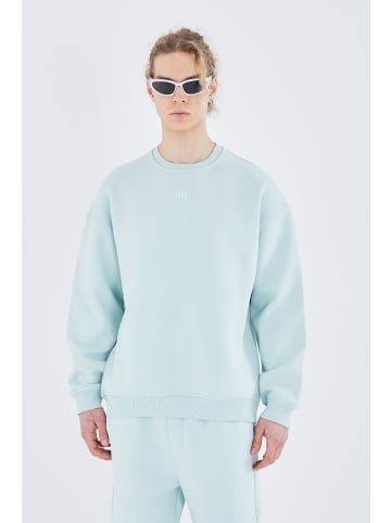 Megaman Basic Sweatshirt Oversize Fit Pullover in Mint