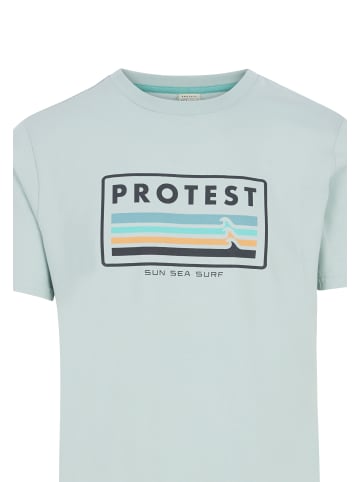 Protest " PRTBarn in Pale Green