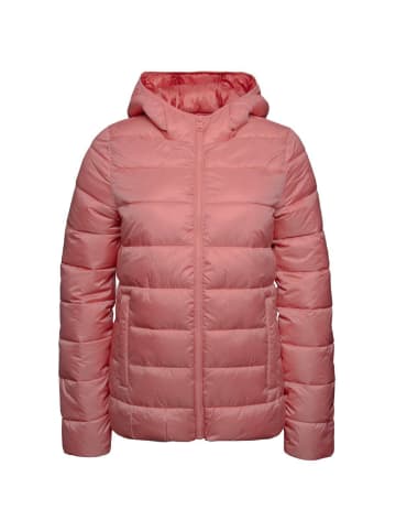 Champion Funktionsjacke Hooded Polyfilled Jacket in Rose