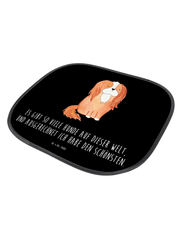 Mr. & Mrs. Panda Sonnenschutz Auto Hund Cavalier King Charles Sp... in Schwarz
