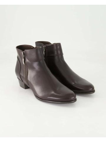 Terry Klassische Stiefeletten in Braun