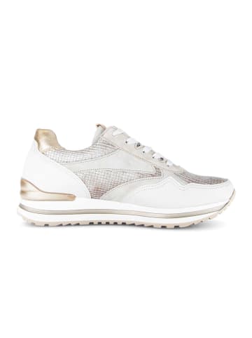 Gabor Sneaker low in multicolour