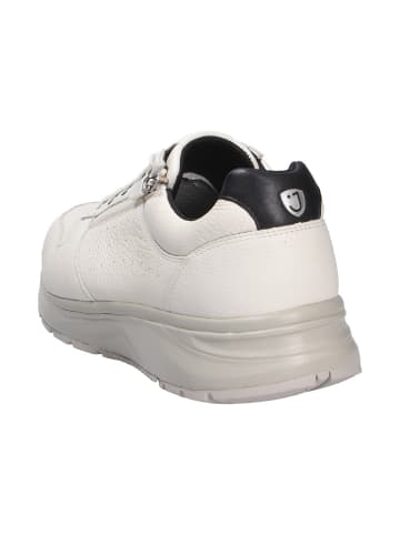 Joya Schnürschuh DYNAMO ZIP M WHITE II in weiß