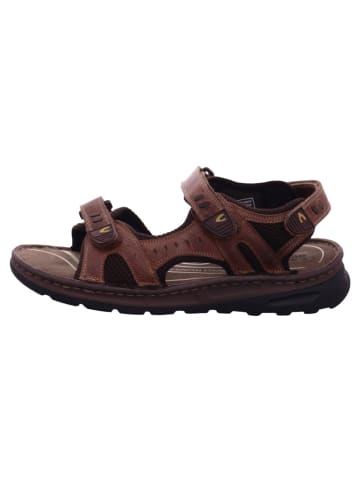 Camel Active Treckingsandalette in braun