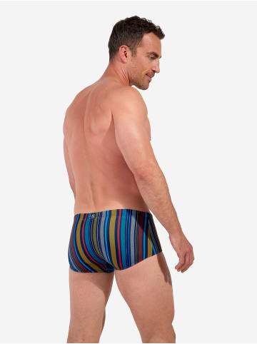 HOM Badeshorts Swim Trunk Marni in multicolor stripes