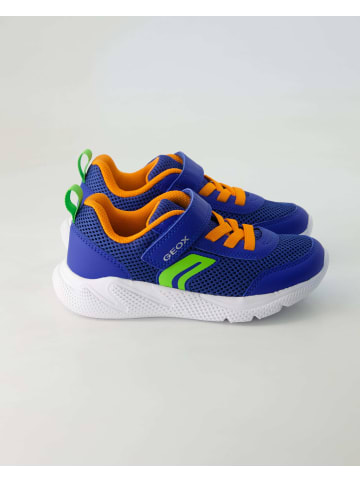 Geox Klettschuhe in Blau