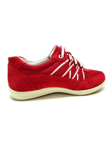 Jana Sneakers in rot