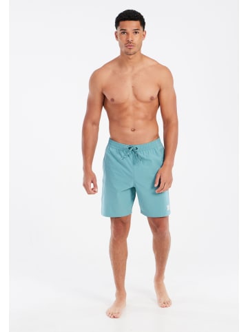 Protest " PRTBaky in Arctic Green