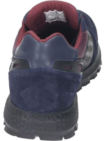 manitu Freizeit Schnürer für Herren in blau
