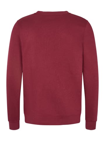 Kappa Sweatshirt Airvit in Red Dahlia