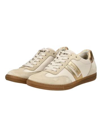 Paul Green Sneaker in Beige