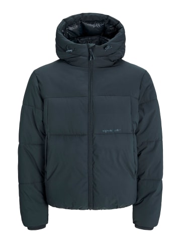 JACK & JONES PLUS Steppjacke in Forest River