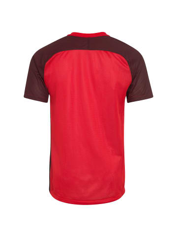 Nike Performance Fußballtrikot Revolution IV in rot / dunkelrot