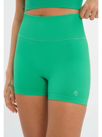 OCEANSAPART Hotpant Maya in Holly Green