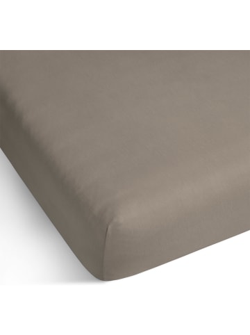 Aspero 2 x Spannbettlaken aus Bio-Baumwolle in Taupe