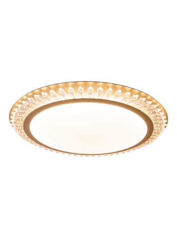 näve LED Deckenleuchte "Madison" Ø 48 cm in Gold  - EEK G