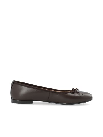 Bianco Ballerinas in Brown