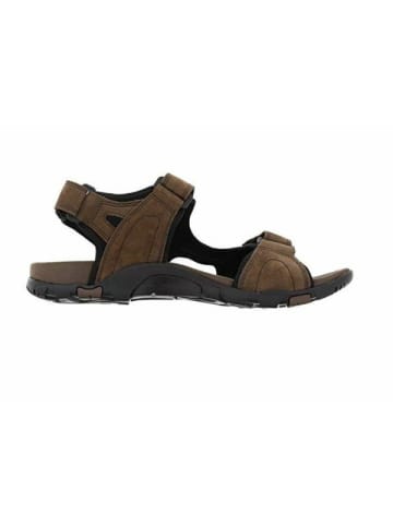 MEINDL Komfort Sandalen für Herren in dunkel-braun