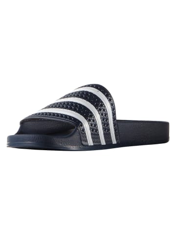 adidas adidas Sandalen in adiblue/white/adiblue
